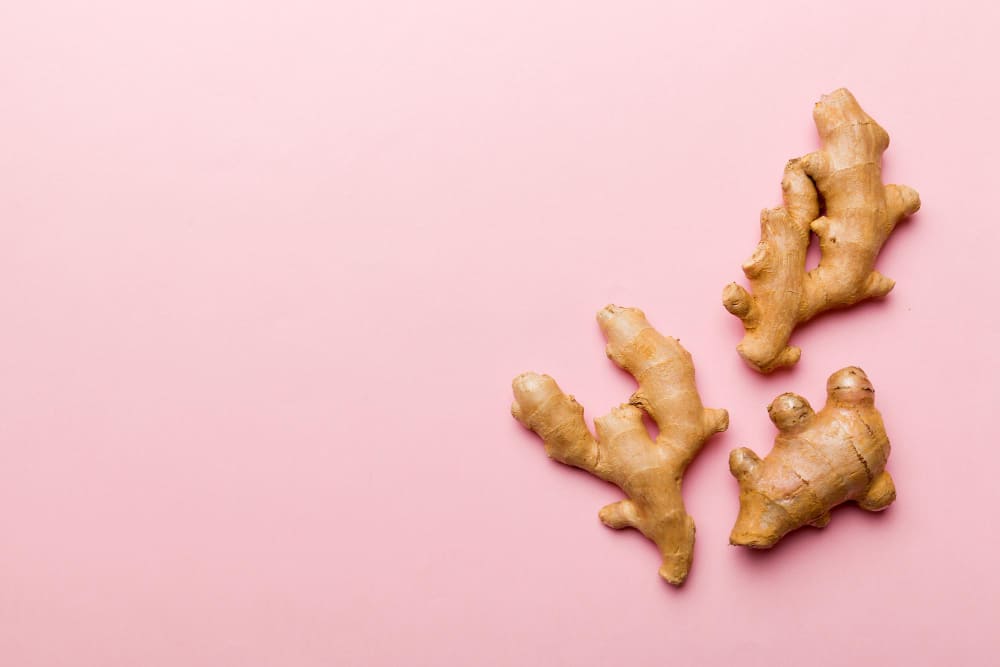 fresh ginger root on pink background